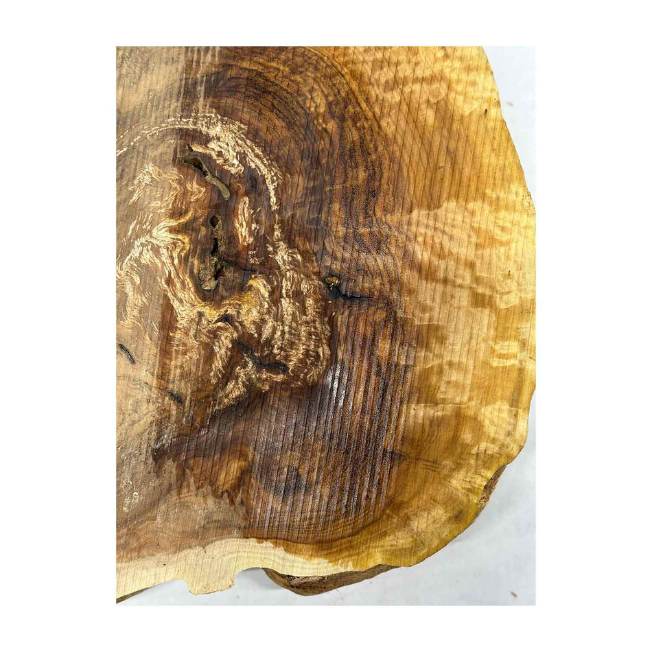 Brown Mallee Burl Cookies 10" x 9" x 1-3/8"  3 Lbs | #2004