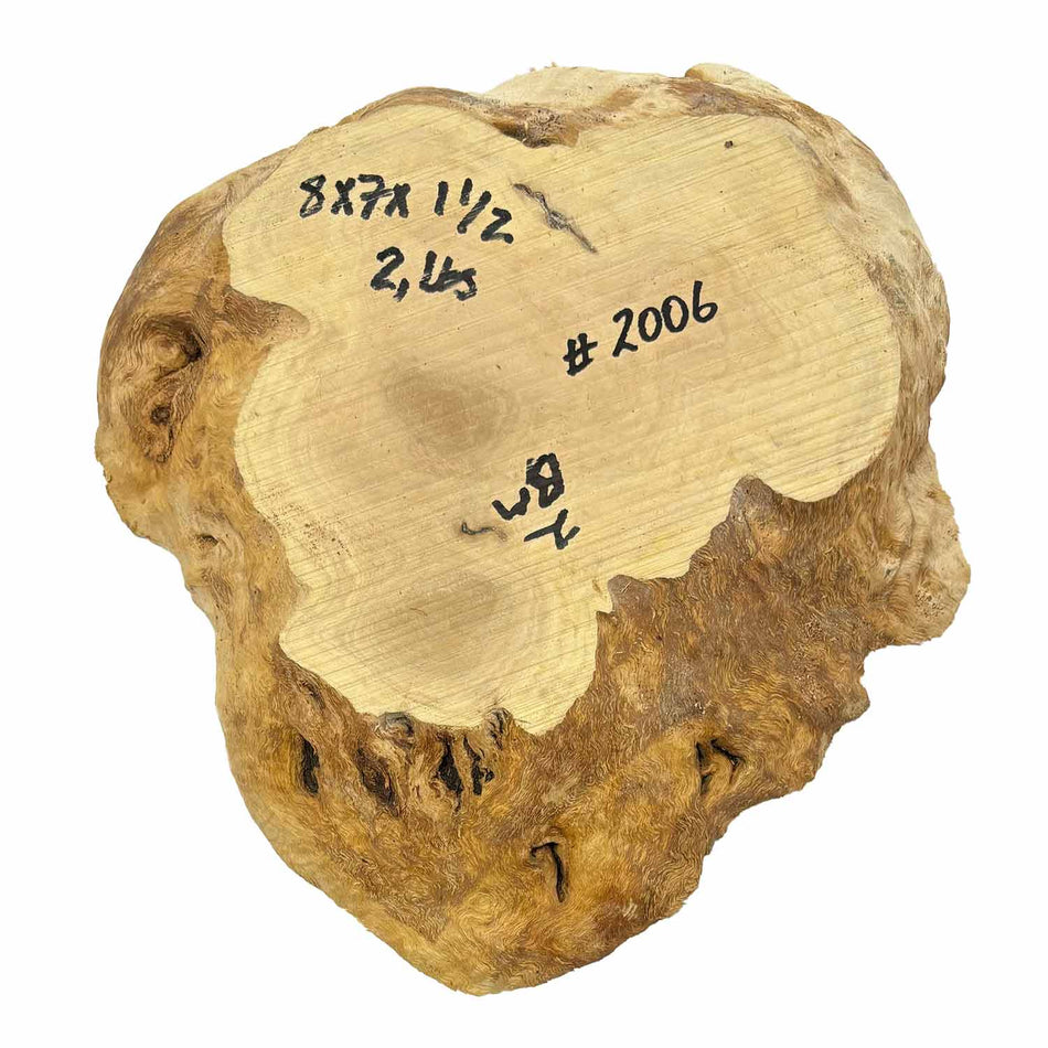 Brown Mallee Burl Cookies 8" x 7" x 1-1/2"  2 Lbs | #2006