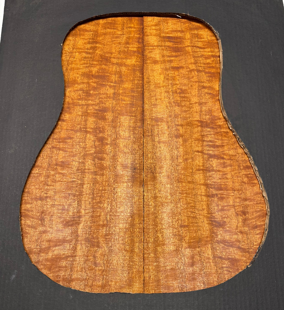 Juego de fondo y aros de guitarra de grado AAAA Dreadnought de palisandro de la India Oriental #61 