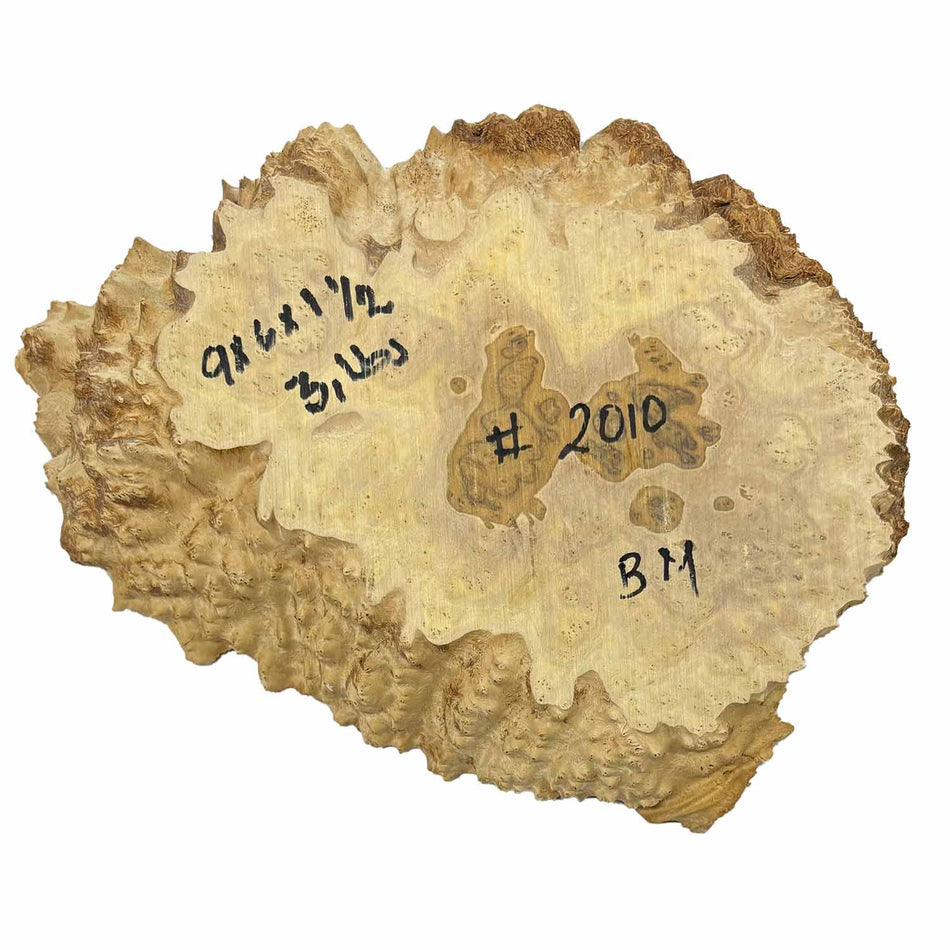 Brown Mallee Burl Cookies 9" x 6" x 1-1/2"  3 Lbs | #2010