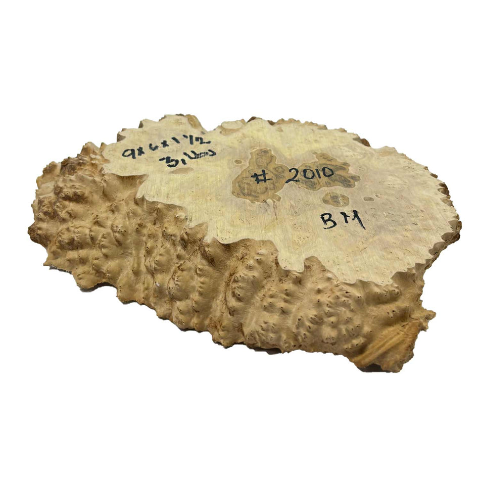 Brown Mallee Burl Cookies 9" x 6" x 1-1/2"  3 Lbs | #2010