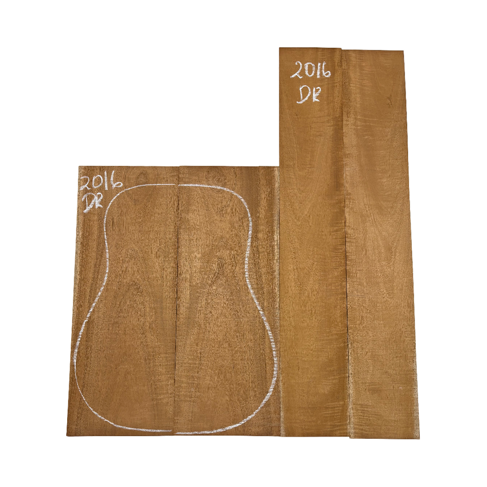 Juego de fondo y aros de guitarra de grado AAAA Dreadnought de palisandro de la India Oriental #61 