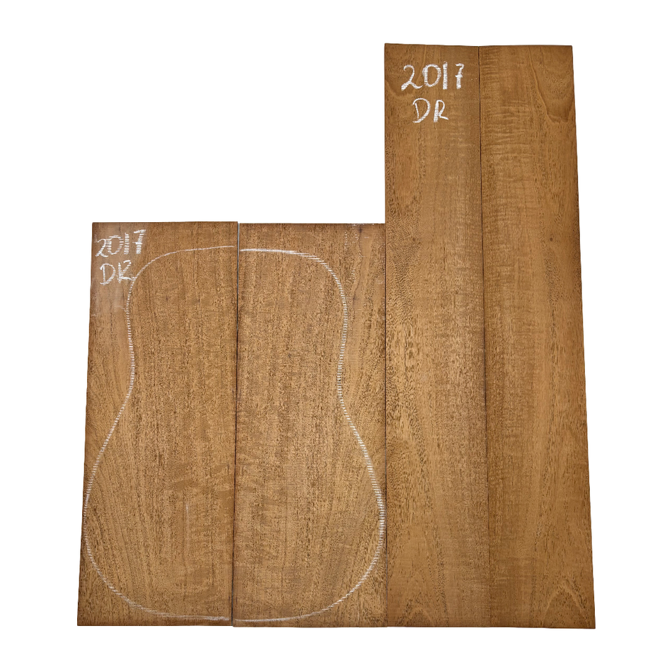 Juego de fondo y aros de guitarra de grado AAAA Dreadnought de palisandro de la India Oriental #61 