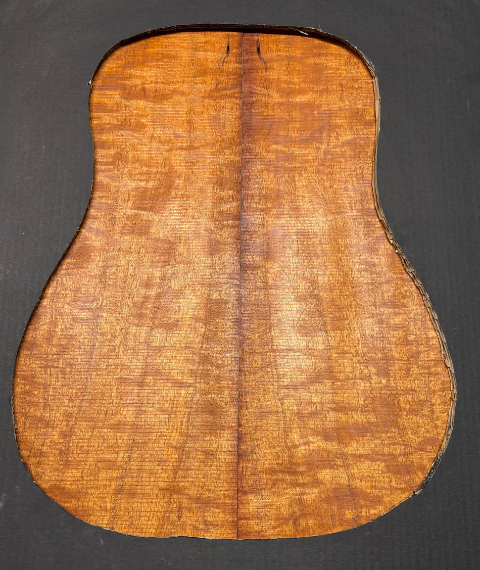 Juego de fondo y aros de guitarra de grado AAAA Dreadnought de palisandro de la India Oriental #61 