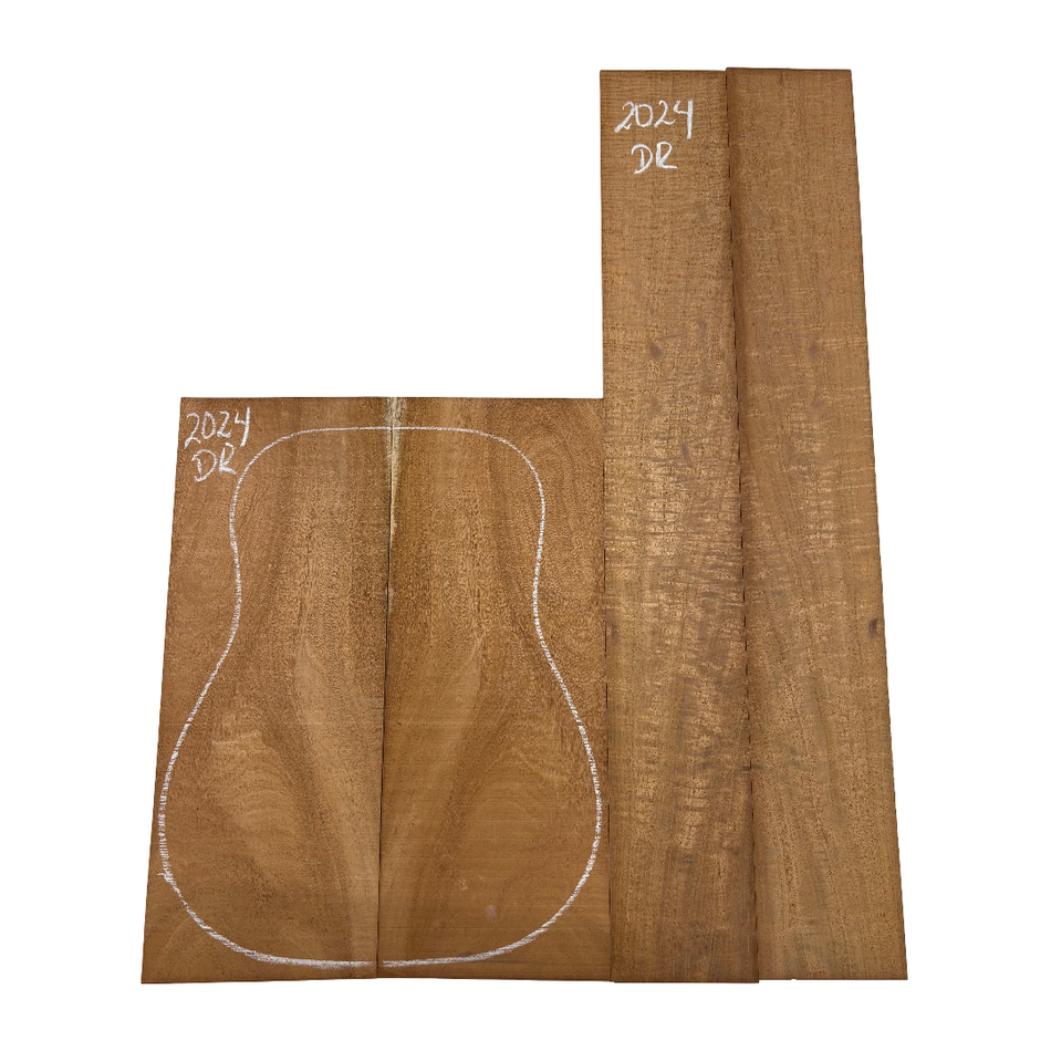 Juego de fondo y aros de guitarra de grado AAAA Dreadnought de palisandro de la India Oriental #61 