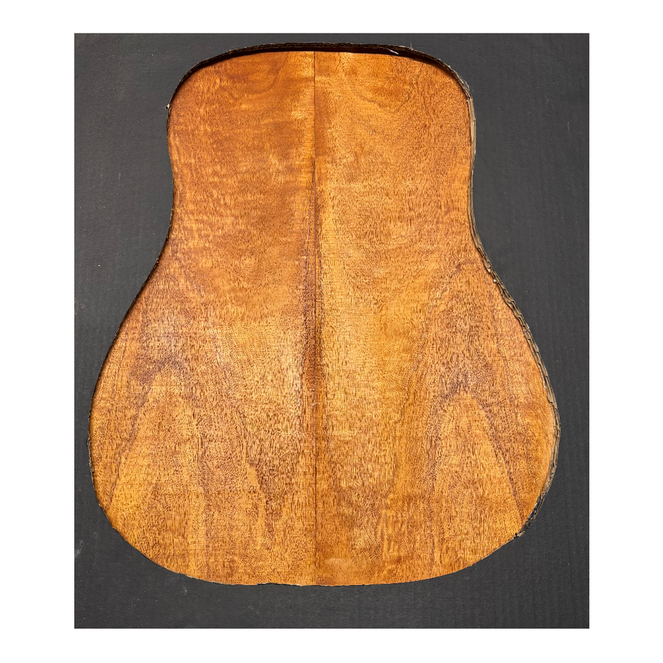 Juego de fondo y aros de guitarra de grado AAAA Dreadnought de palisandro de la India Oriental #61 