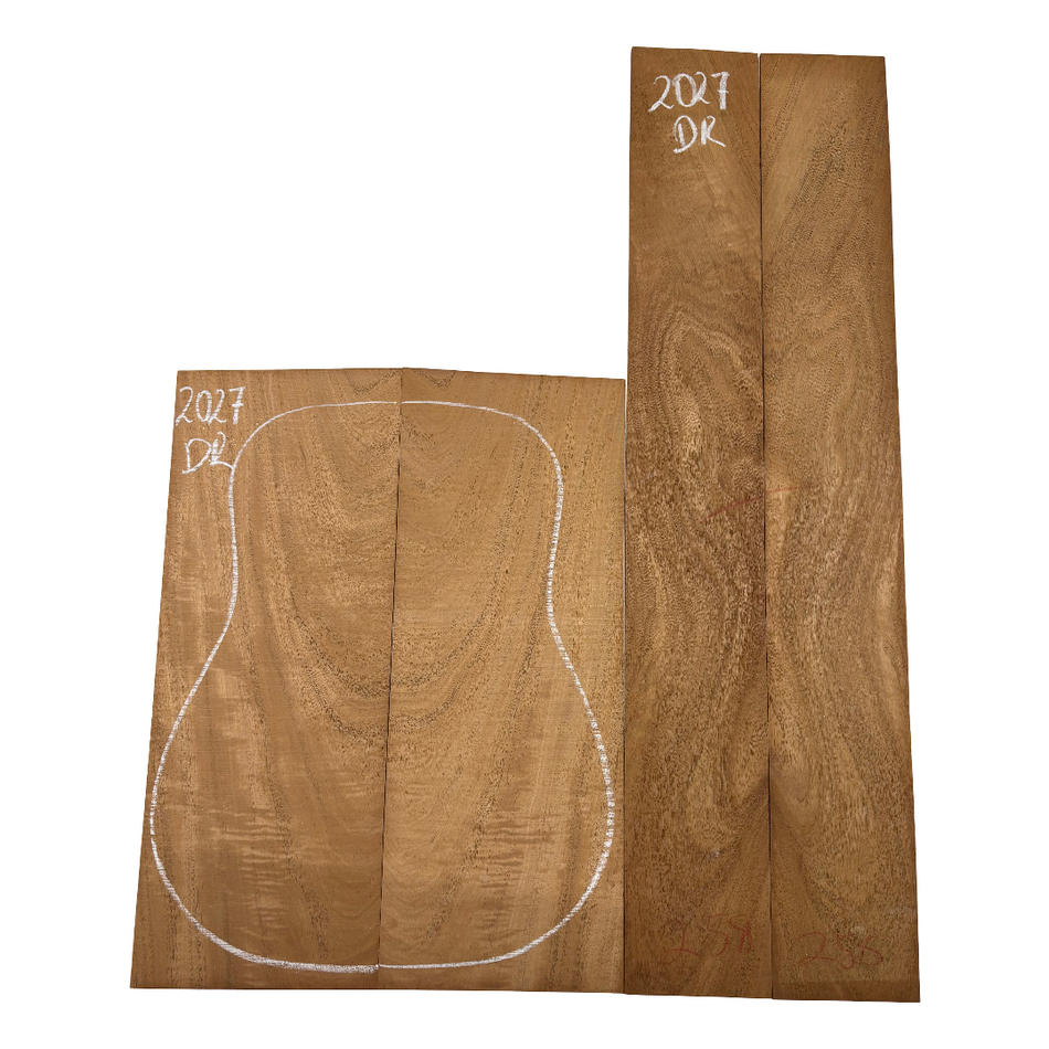 Juego de fondo y aros de guitarra de grado AAAA Dreadnought de palisandro de la India Oriental #61 