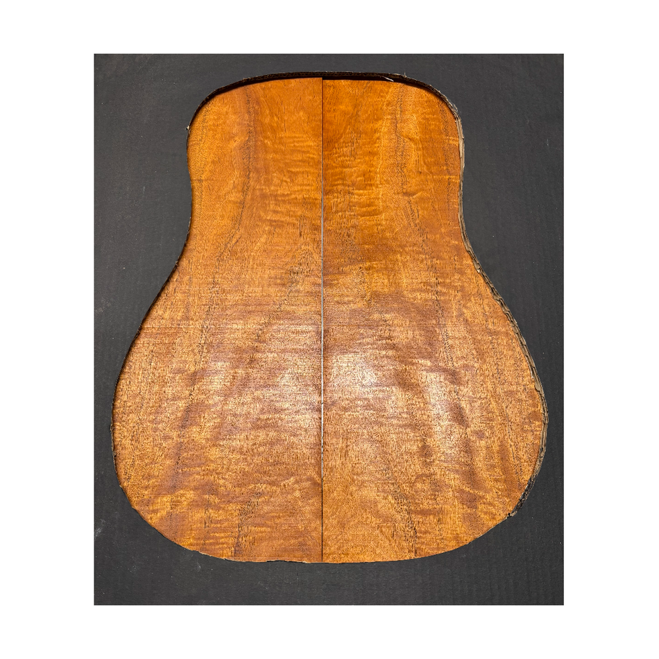 Juego de fondo y aros de guitarra de grado AAAA Dreadnought de palisandro de la India Oriental #61 