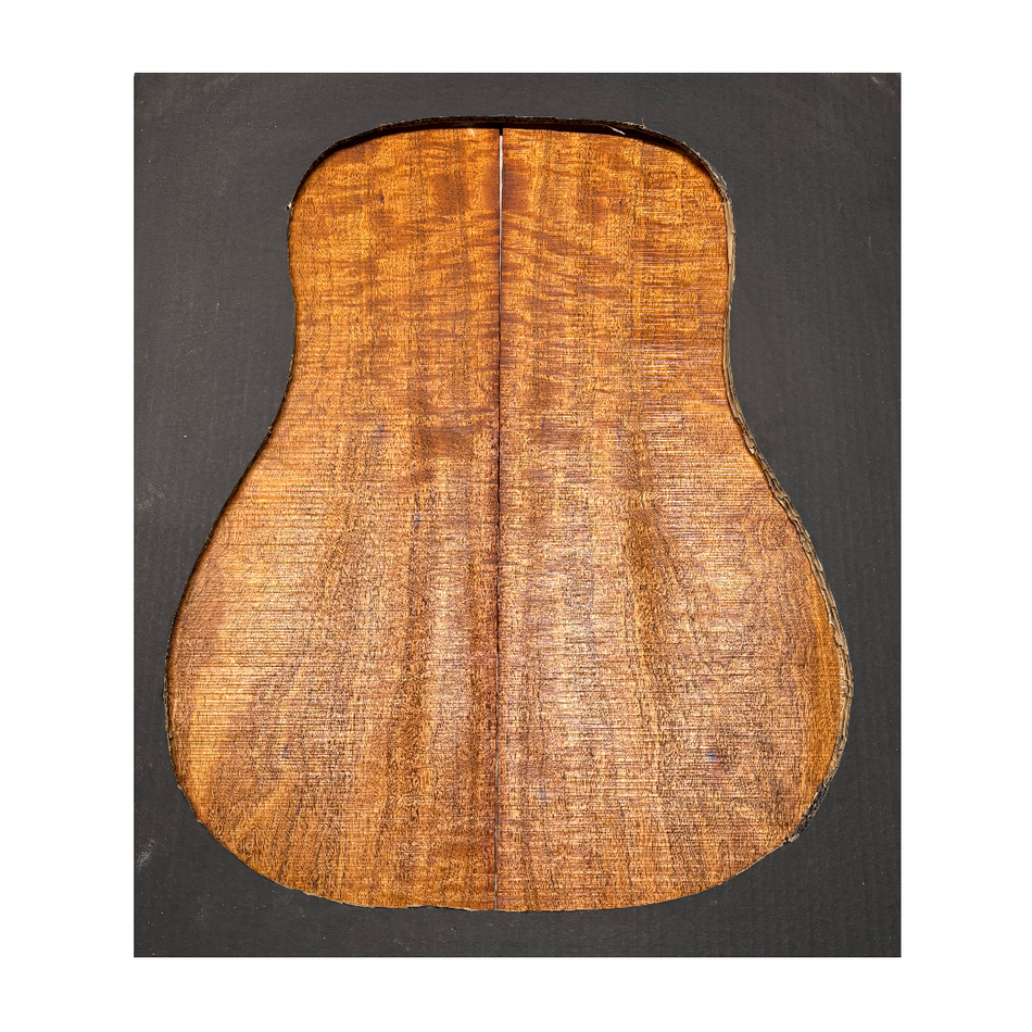 Juego de fondo y aros de guitarra de grado AAAA Dreadnought de palisandro de la India Oriental #61 