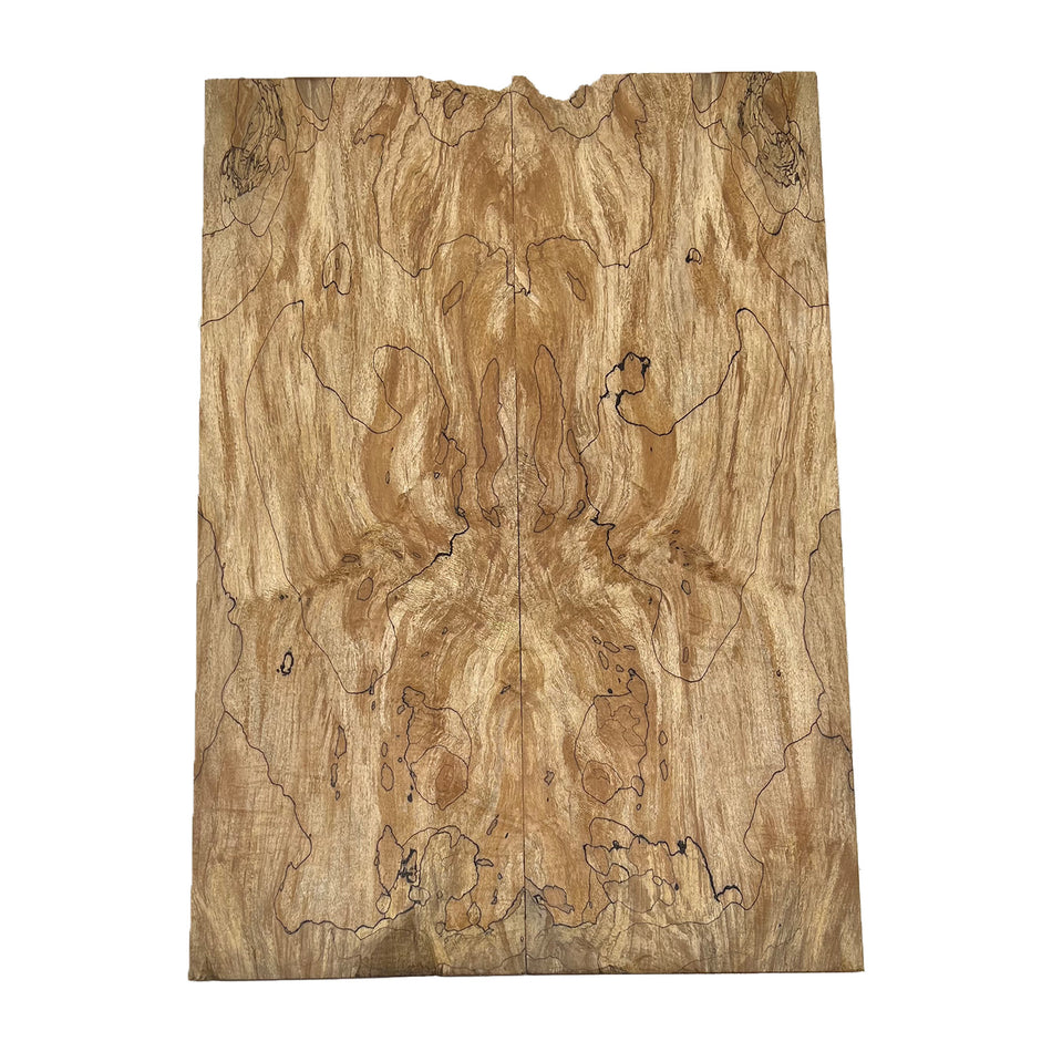 Spalted Maple Drop Top 21" x 7-1/4" x 3/8" #241