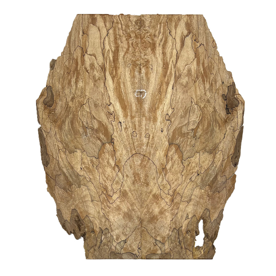 Spalted Maple Drop Top 21" x 7-1/4" x 3/8" #241-A