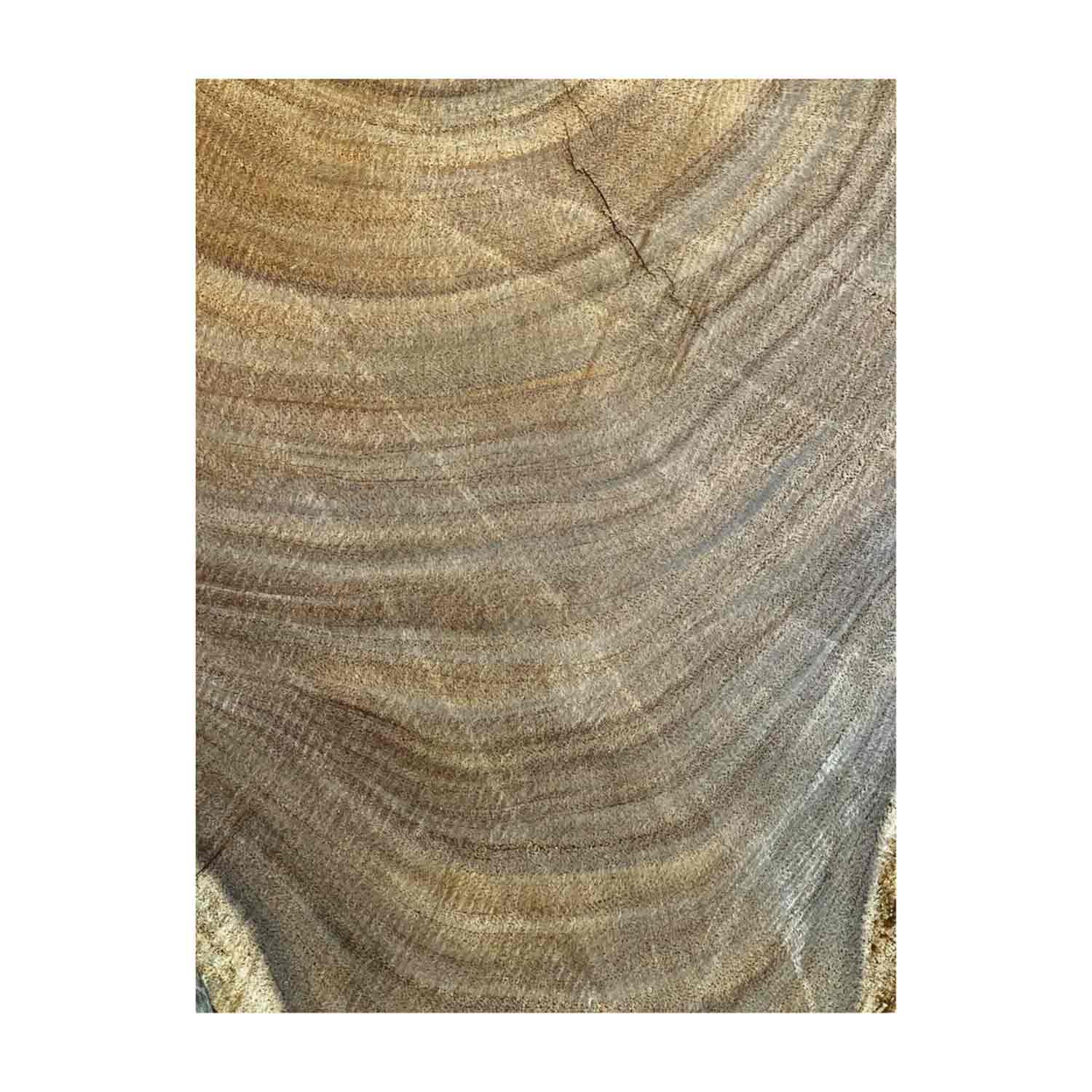 Beautiful Bhilwara Live Edge Slab/Cookies - 22&quot;x 23&quot;x 2&quot; 