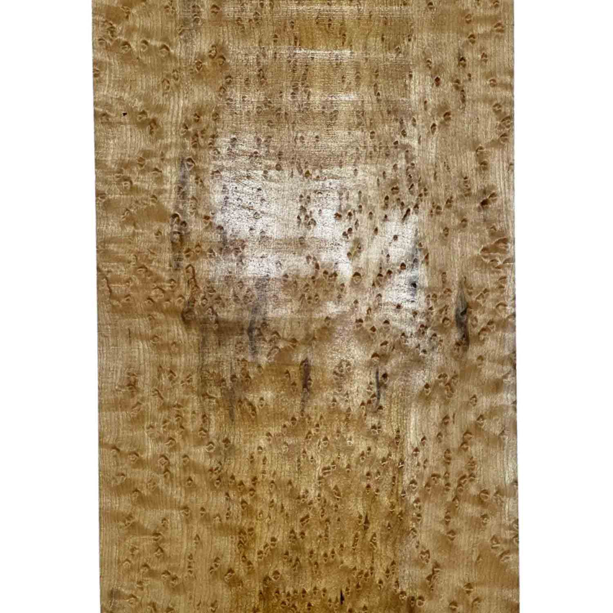 Birdseye Maple Drop Top 21" x 7-1/4" x 1/4" #300 - Exotic Wood Zone 