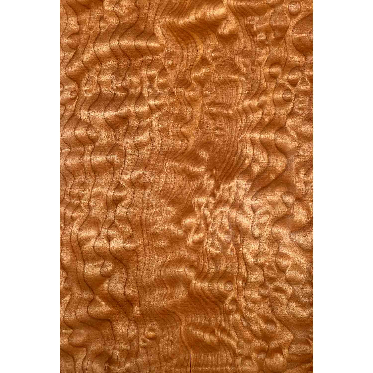 Quilted Curly Hard Maple Drop Top 21" x 7" x 1/4" #3000 - Exotic Wood Zone 