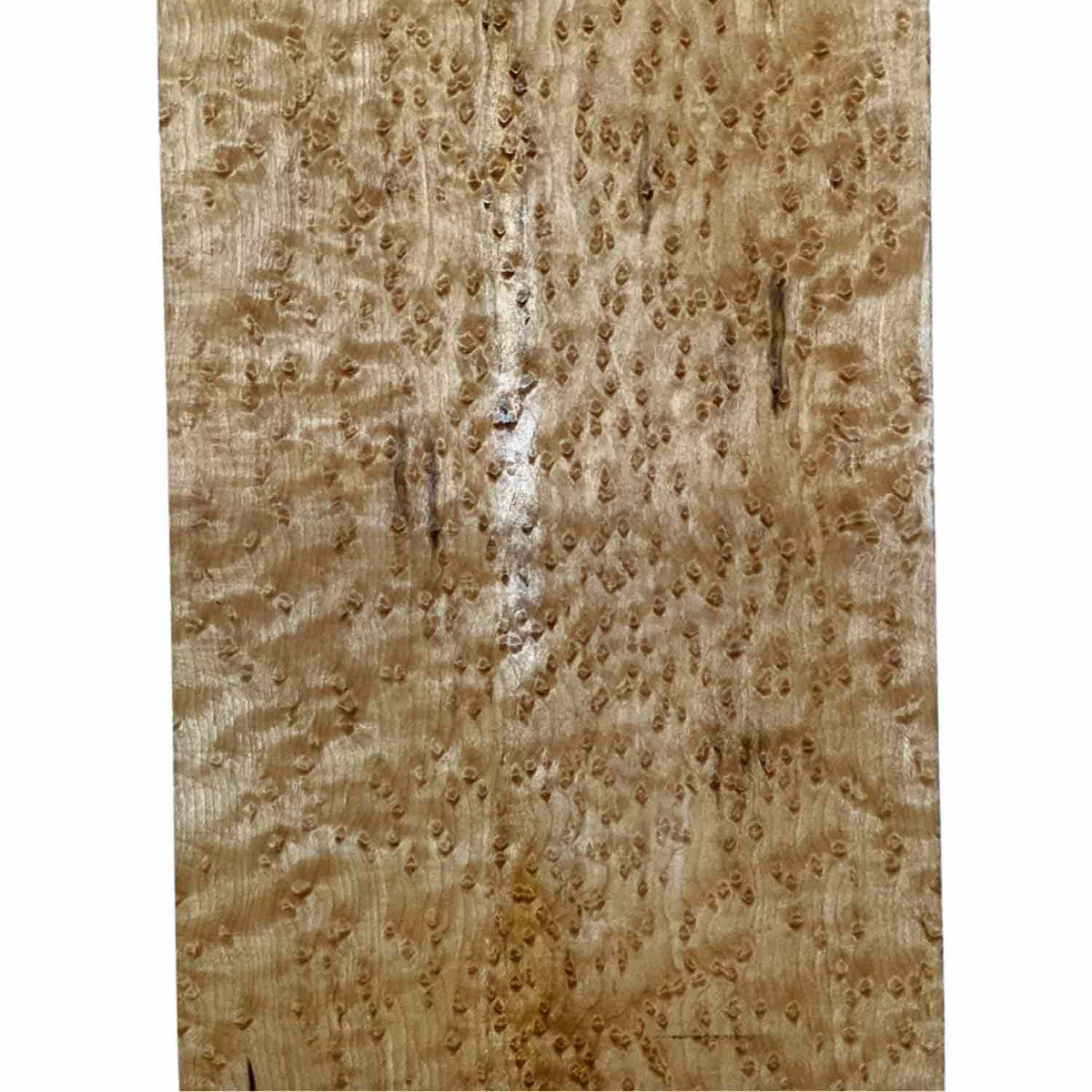 Birdseye Maple Drop Top 21" x 7-1/4" x 1/4" #300 - A - Exotic Wood Zone 