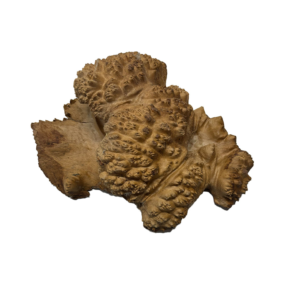 Australian Red Mallee Burl 9" x 7" x 4" 4.3 Lbs |  #3164