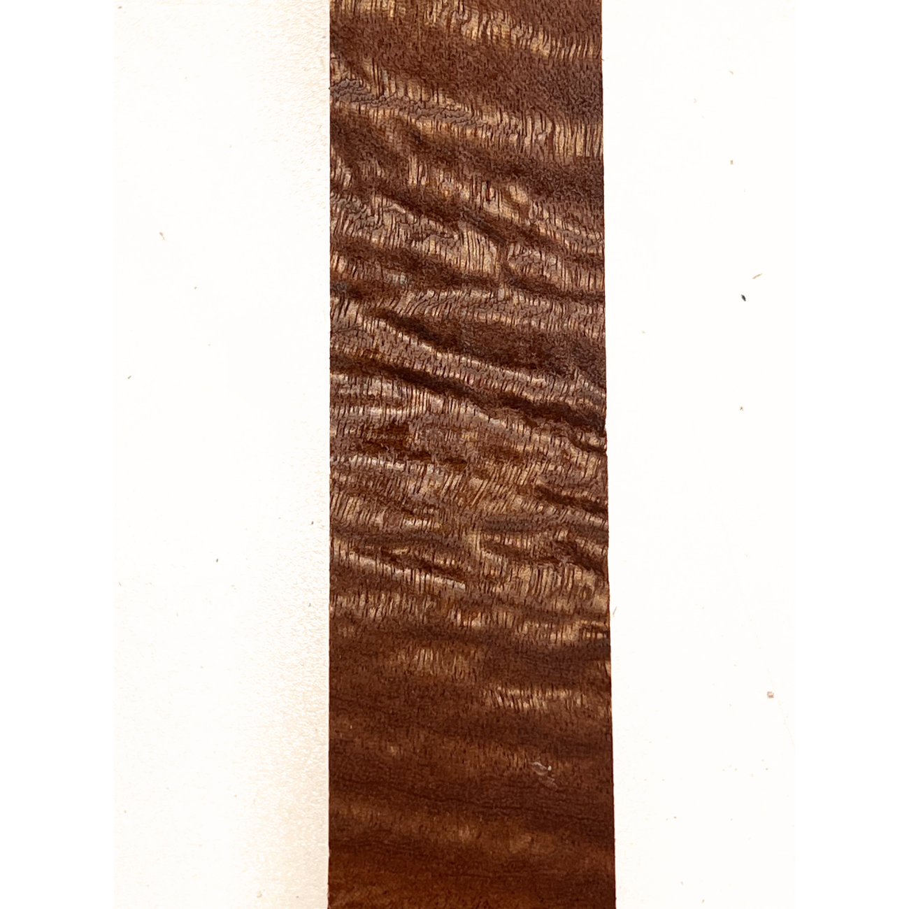 Quilted Curly Sapele Turning Wood Blanks - Exotic Wood Zone - Buy online Across USA 