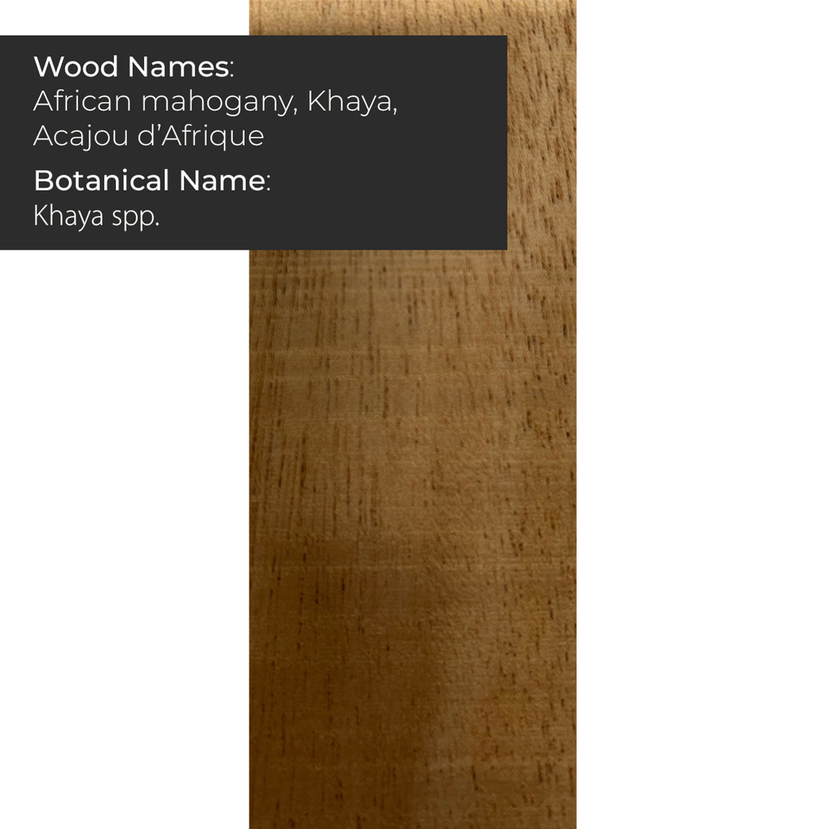 African Mahogany/Khaya Guitar Body Blank -  21″ x 14″ x 2″ (Unplaned-Two Piece) - Exotic Wood Zone - Buy online Across USA 