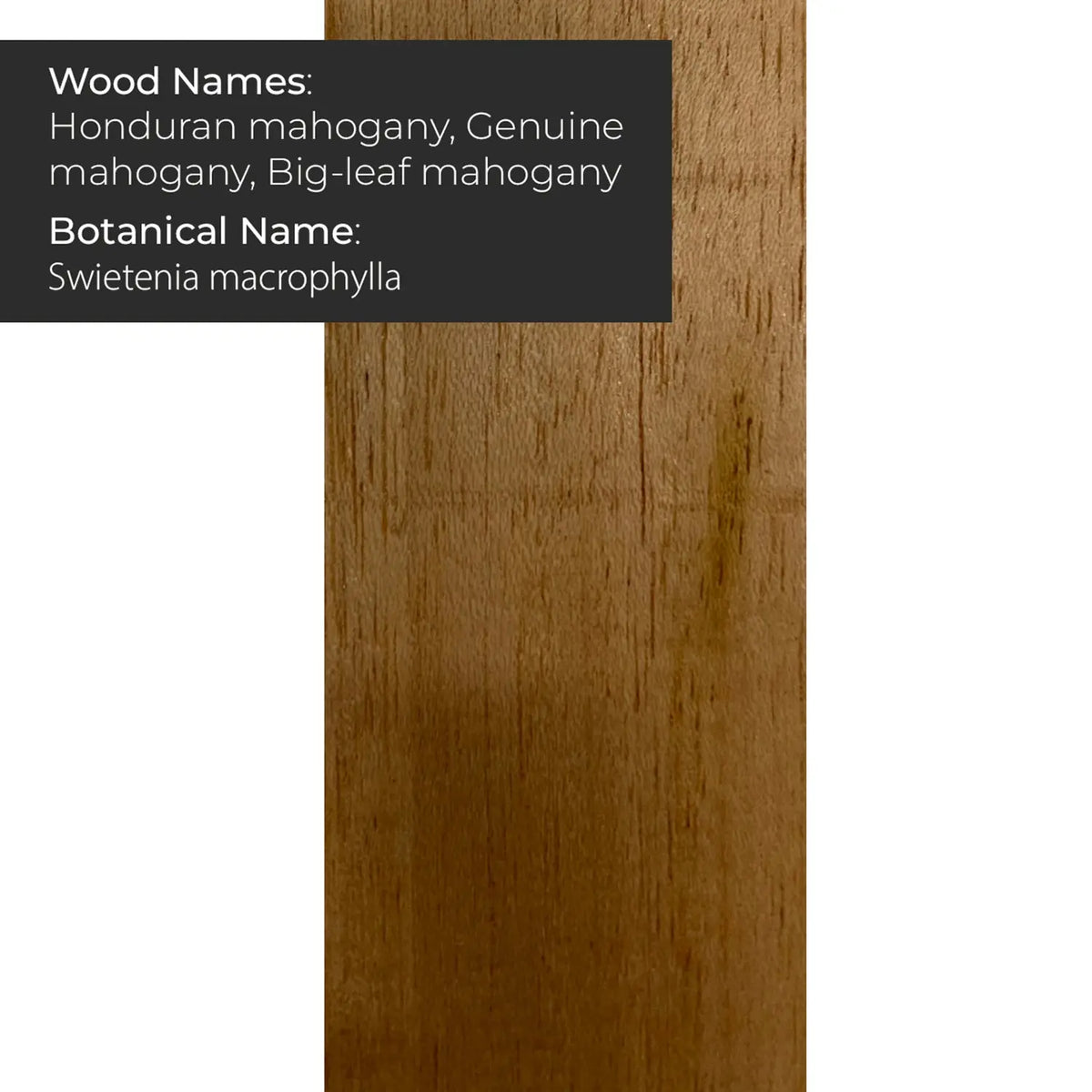 Honduran Mahogany Body Blanks -21" x 14" x 2" - Exotic Wood Zone - Buy online Across USA 