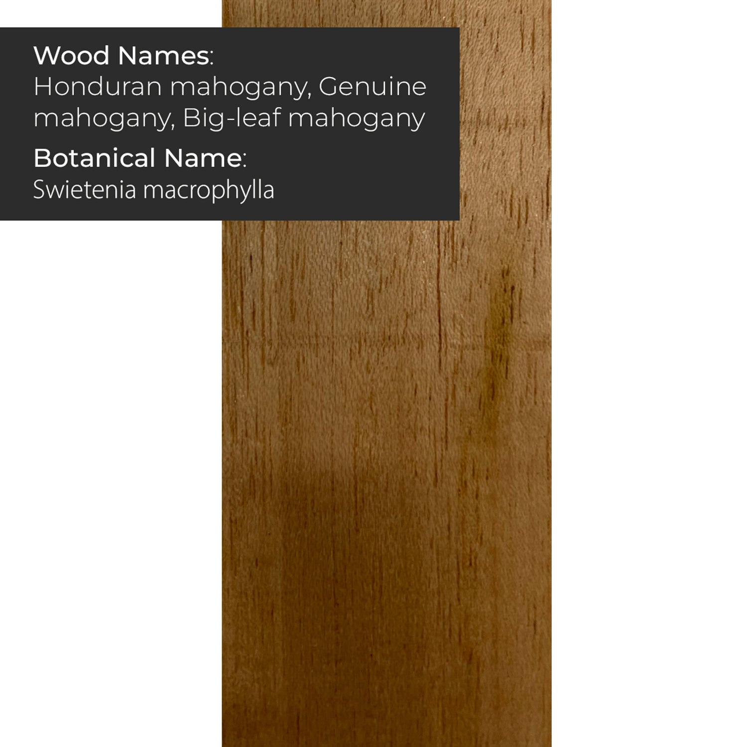 Honduran Mahogany Body Blanks - 21&quot; x 14&quot; x 2&quot; -  Single Piece Solid Body - Exotic Wood Zone - Buy online Across USA 