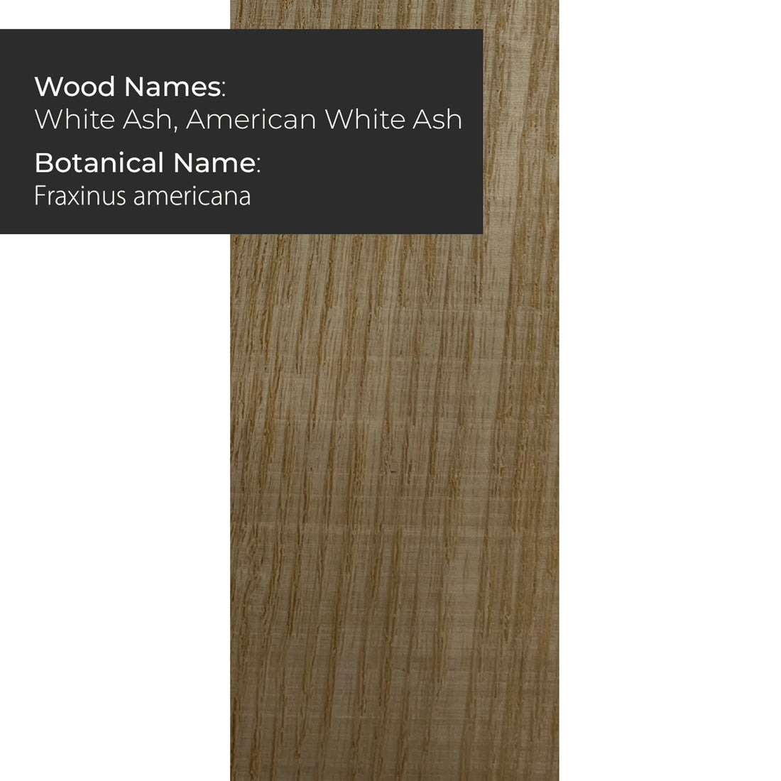 Pack Of  2,  White Ash Guitar Body Blanks - 21″ x 14″ x 1-3/4″ | Planed | 2 PCs Glued - Exotic Wood Zone - Buy online Across USA 