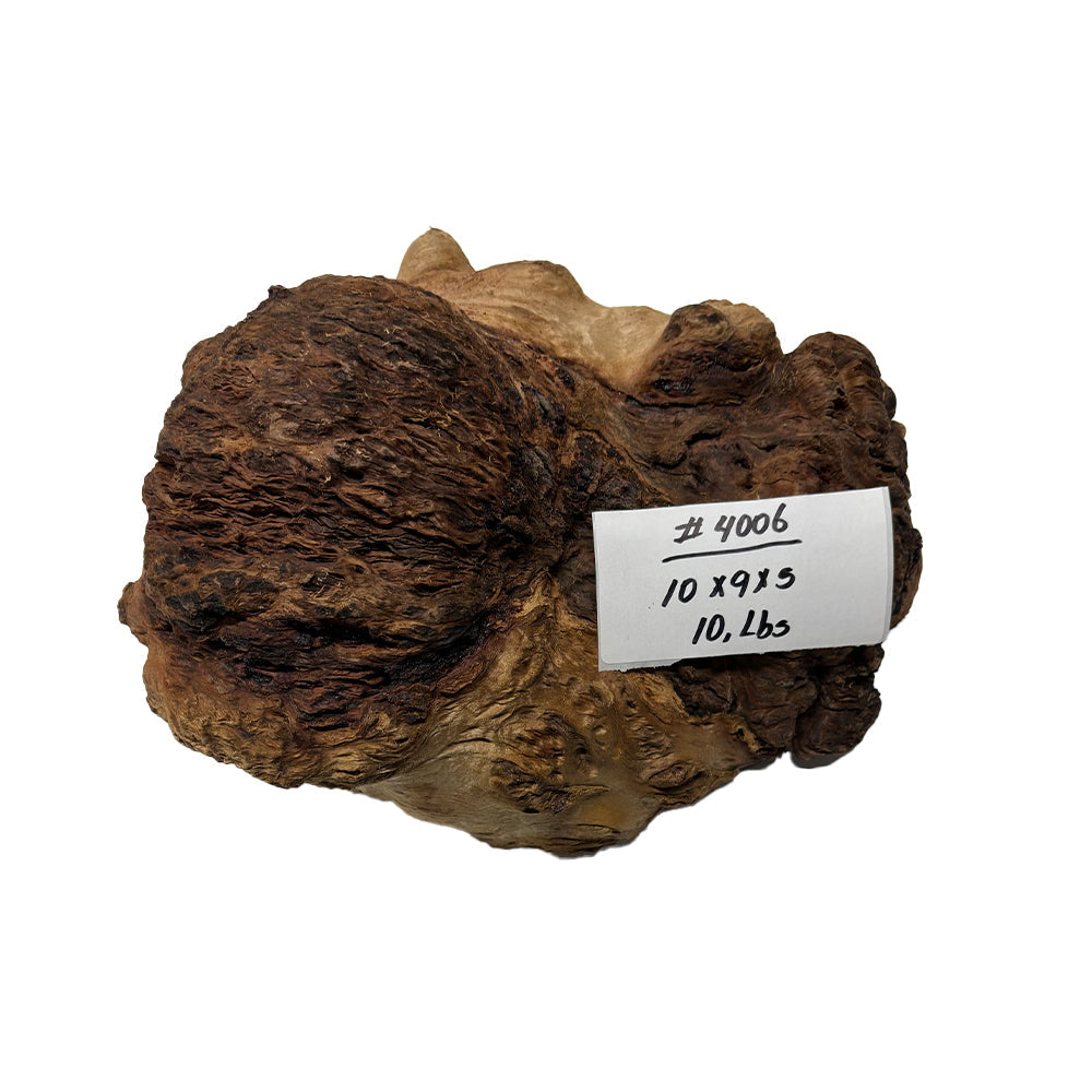 Red Gum Burl Cookies - 10" x 9" x 5" #4006 Exotic Wood Zone 