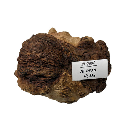 Red Gum Burl Cookies - 10" x 9" x 5" #4006 Exotic Wood Zone 