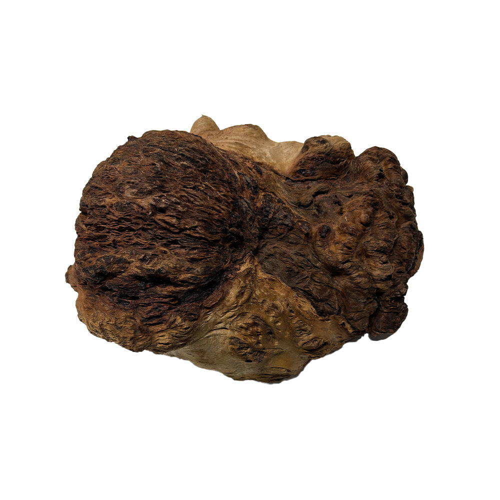 Red Gum Burl Cookies - 10" x 9" x 5" #4006 Exotic Wood Zone 