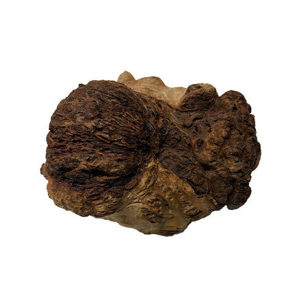 Red Gum Burl Cookies - 10" x 9" x 5" #4006 Exotic Wood Zone 
