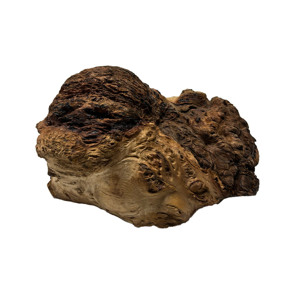 Red Gum Burl Cookies - 10" x 9" x 5" #4006 Exotic Wood Zone 