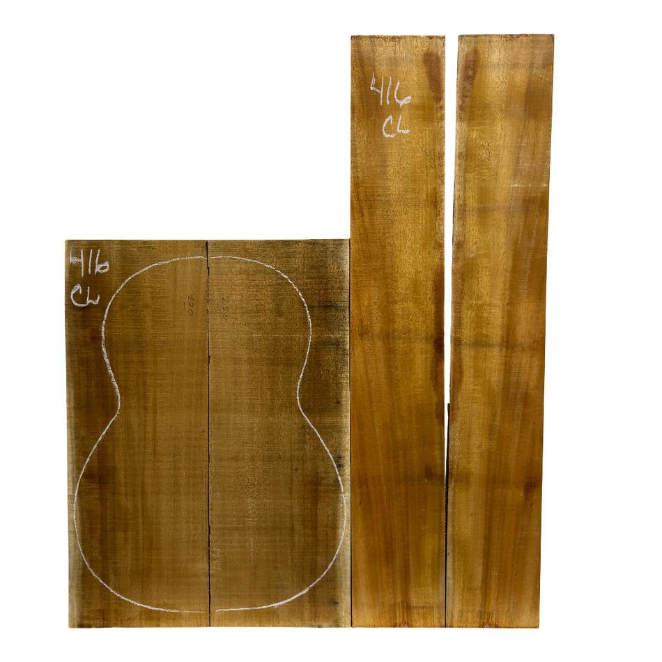 Juego de fondo y aros de guitarra de grado AAAA Dreadnought de palisandro de la India Oriental #61 