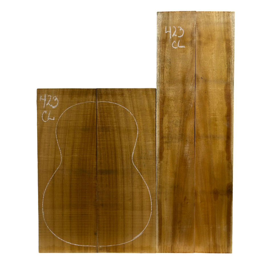 Juego de fondo y aros de guitarra de grado AAAA Dreadnought de palisandro de la India Oriental #61 