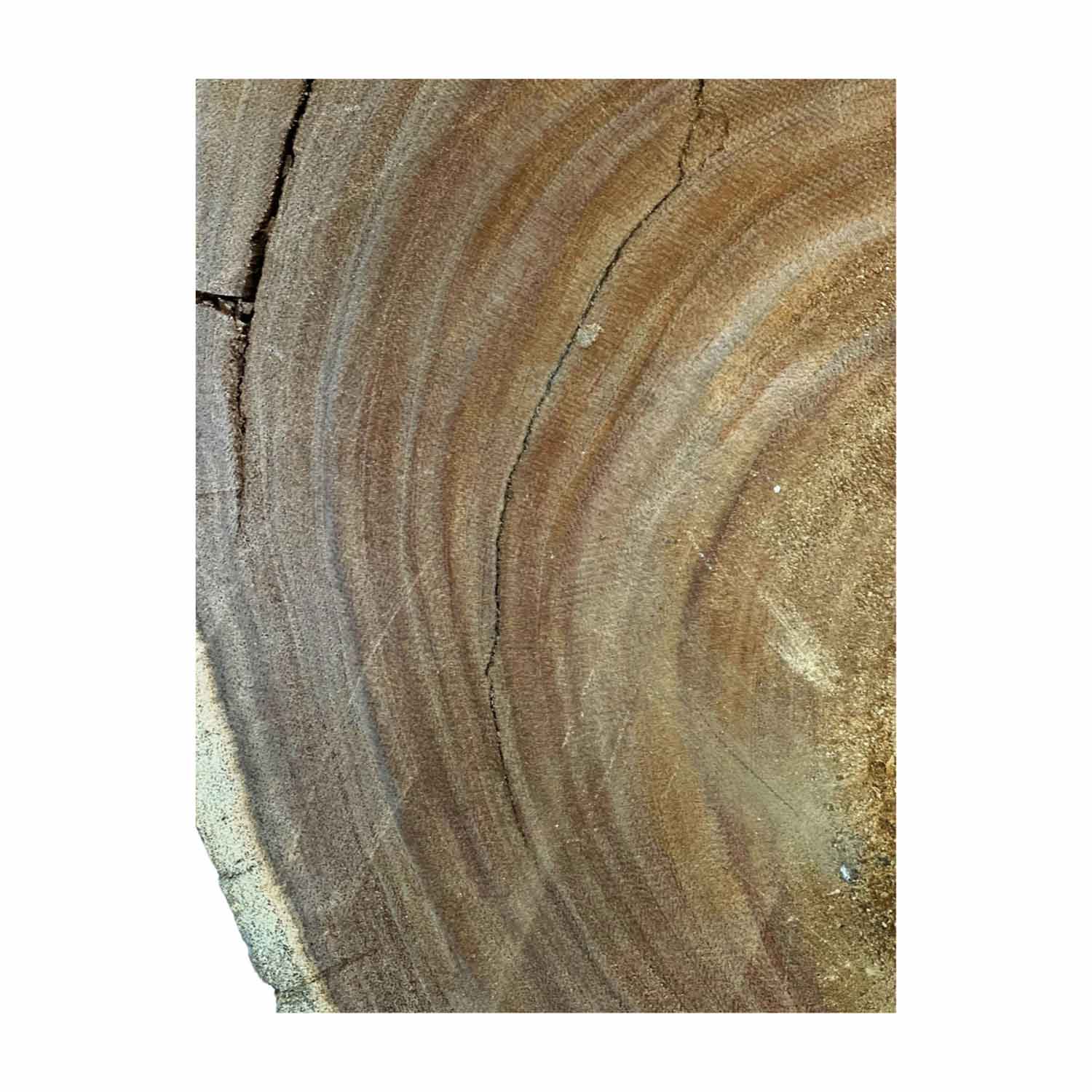 Hermosas y raras losas/galletas de borde vivo de madera negra africana - 24&quot;x24-1/2&quot;x3&quot;, 