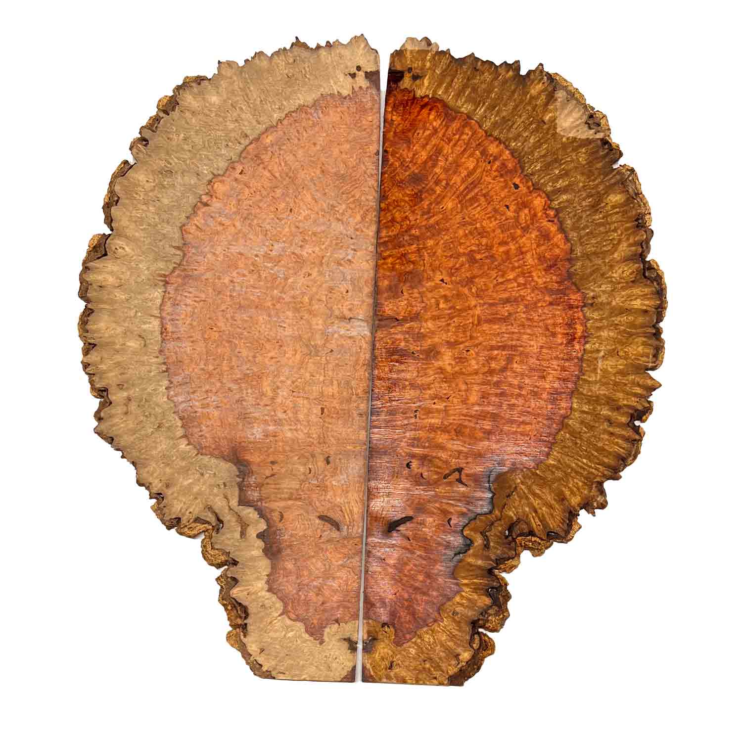 Afromosia Bookmatched Burl 12&quot; x 5&quot; x 3/16&quot; 