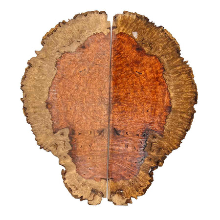 Afromosia Bookmatched Burl 12" x 5" x 3/16" #501 - F - Exotic Wood Zone 