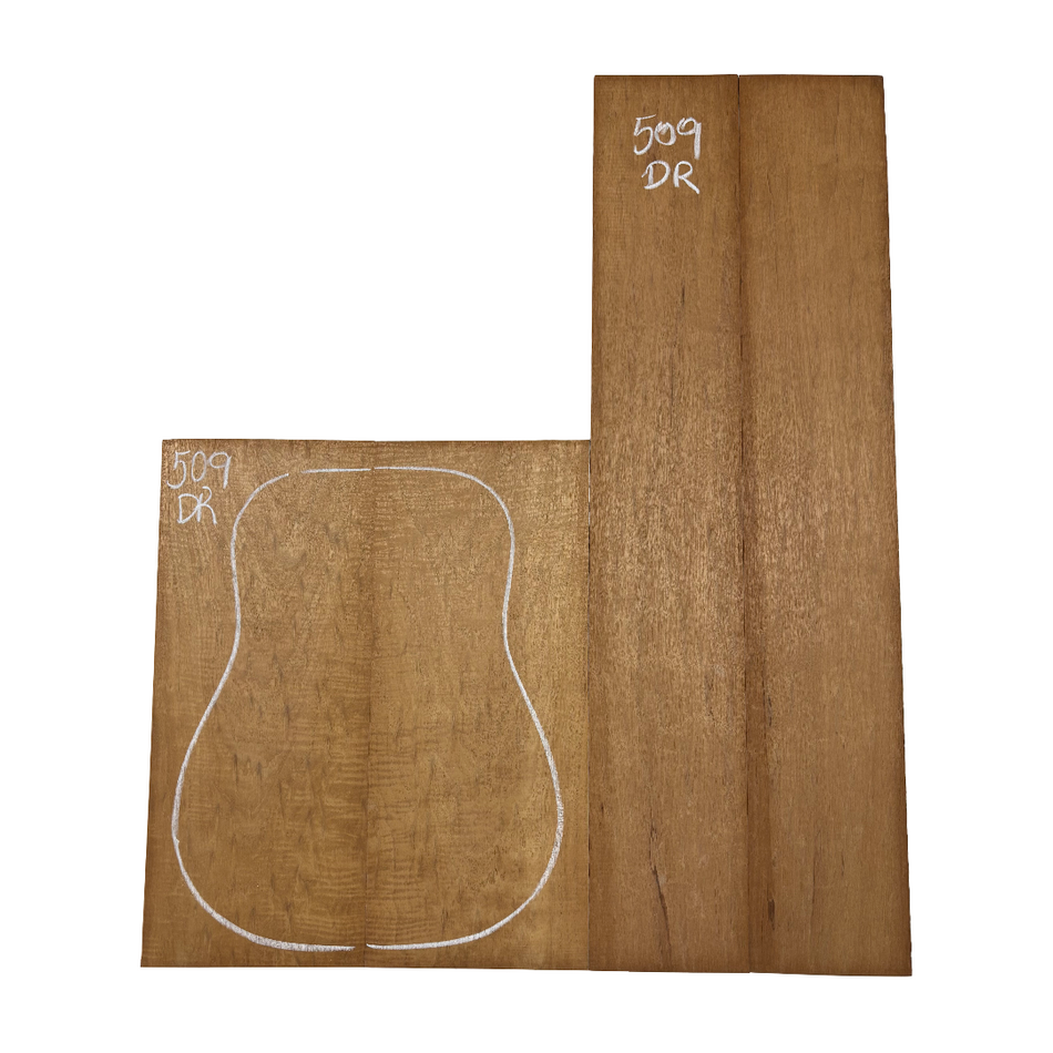 Juego de fondo y aros de guitarra de grado AAAA Dreadnought de palisandro de la India Oriental #61 