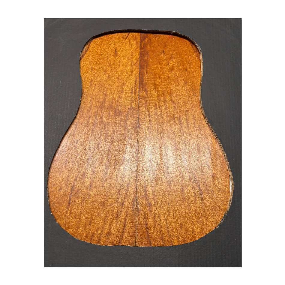 Juego de fondo y aros de guitarra de grado AAAA Dreadnought de palisandro de la India Oriental #61 