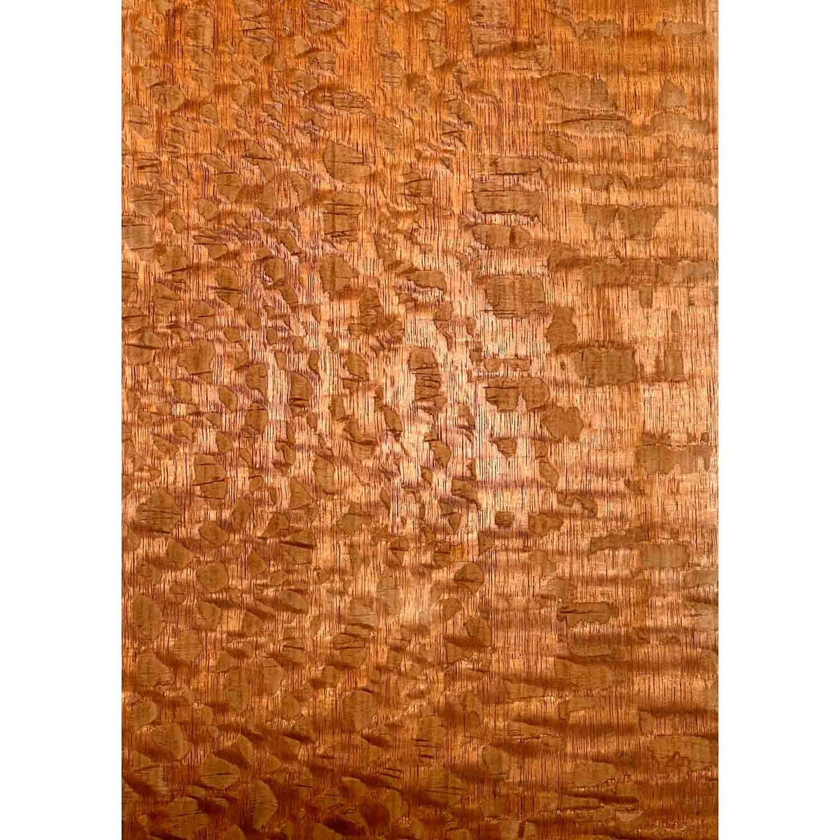 Lacewood Drop Top 21" x 7-1/4" x 3/8" #53 - Exotic Wood Zone 