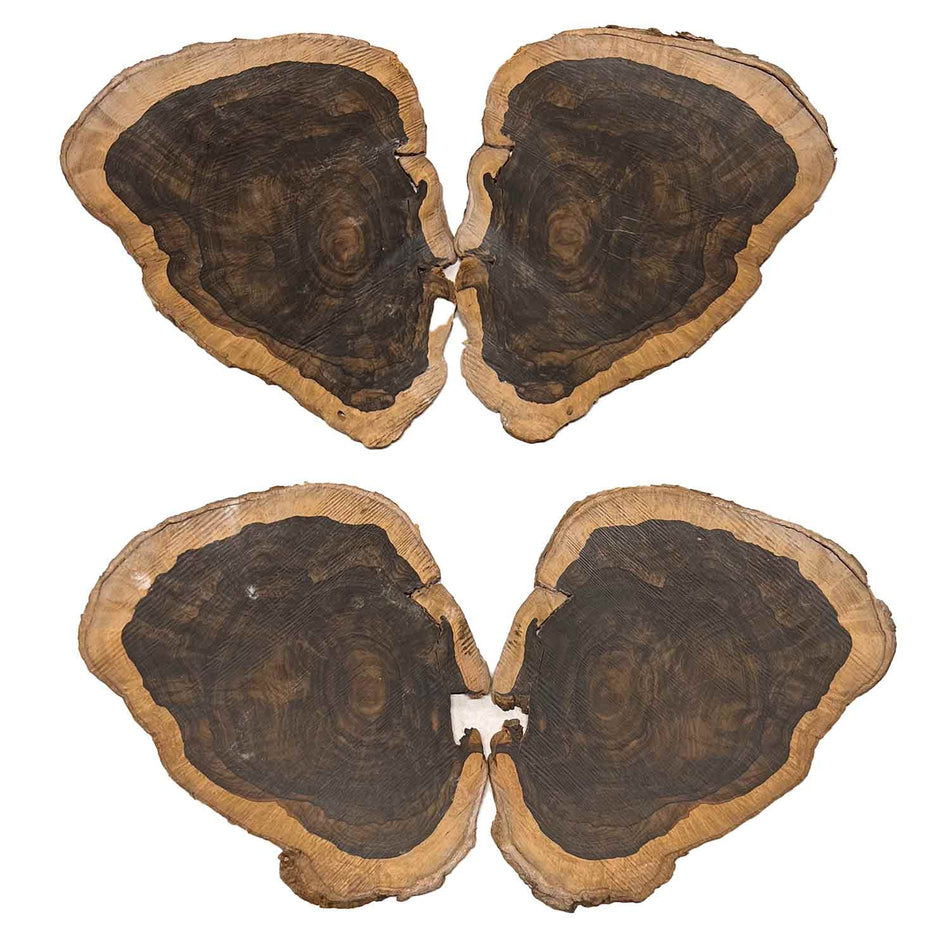 Ziricote Wood Burl - 4 pieces 9" x 7" x 1/4" #565-D