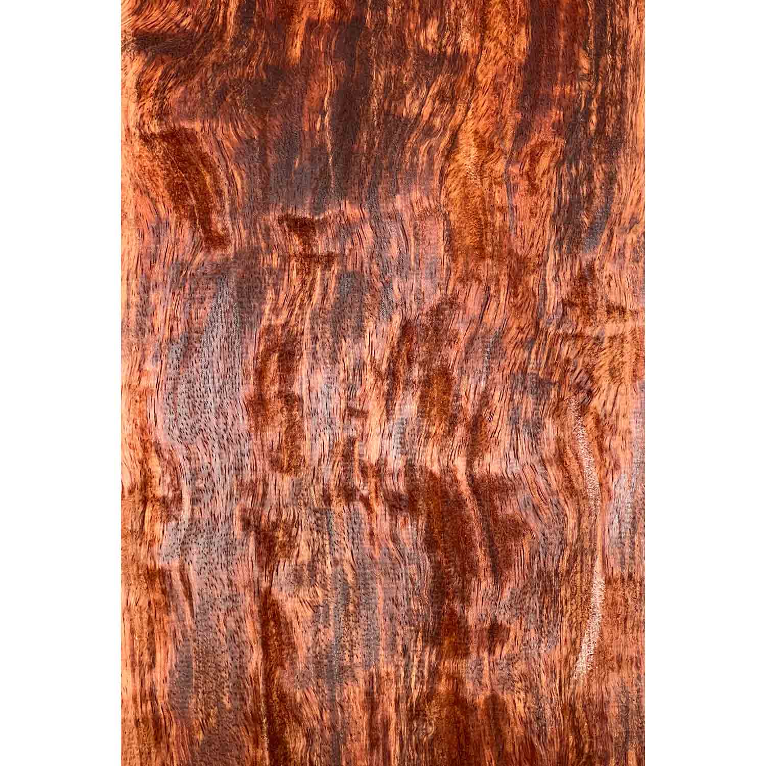 Figured Bubinga Drop Top 21" x 7-1/8" x 3/8" #66-A - Exotic Wood Zone 