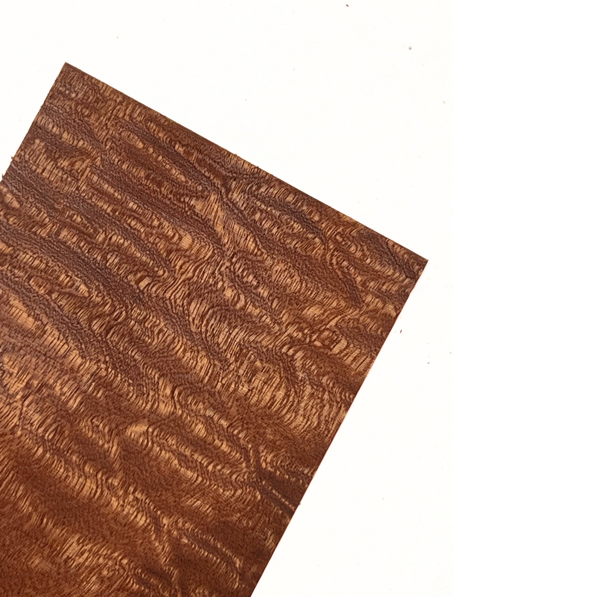 Quilted Curly Sapele Guitar Headplates - Exotic Wood Zone - Buy online Across USA 