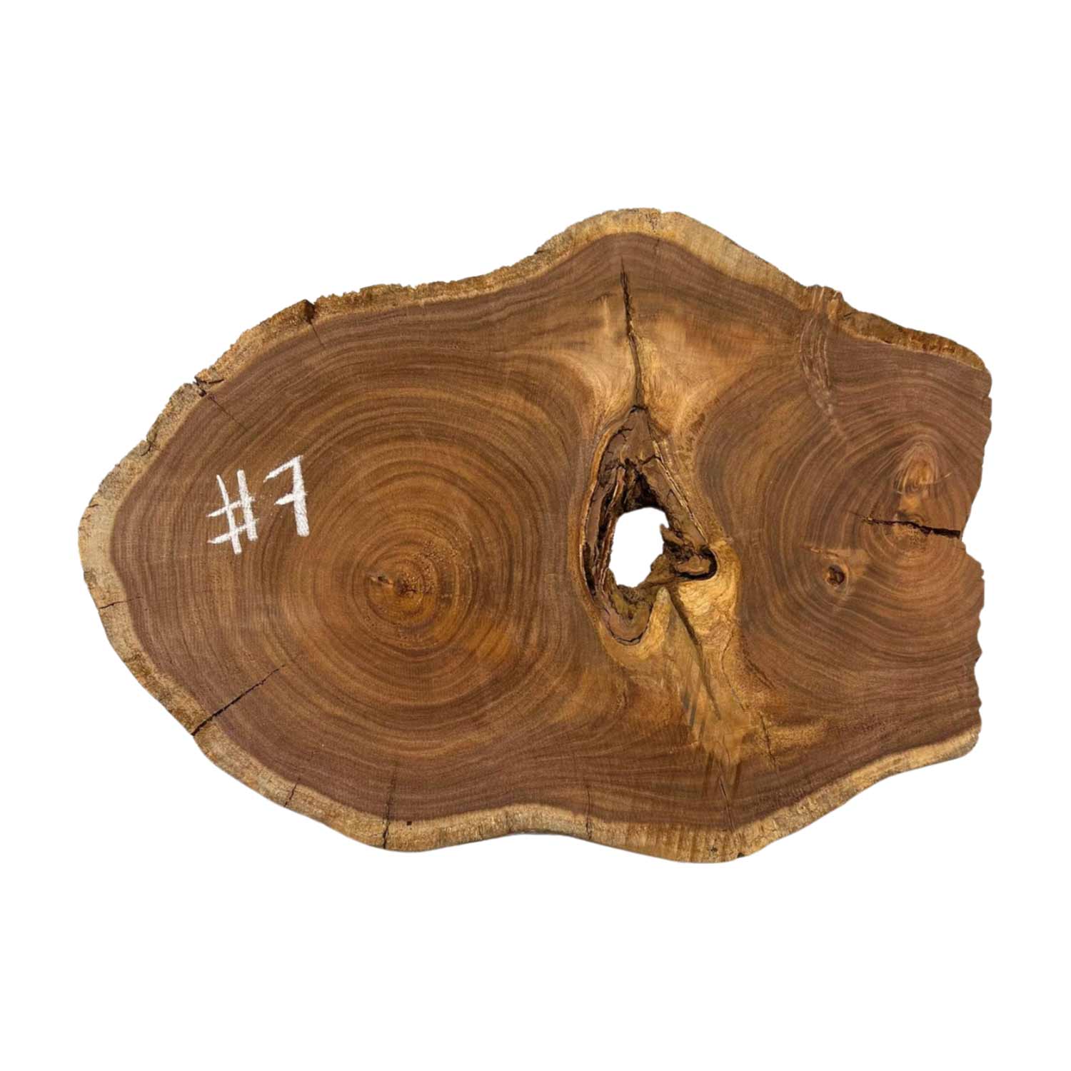 Hermosas y raras losas/galletas de borde vivo de madera negra africana - 24&quot;x24-1/2&quot;x3&quot;, 