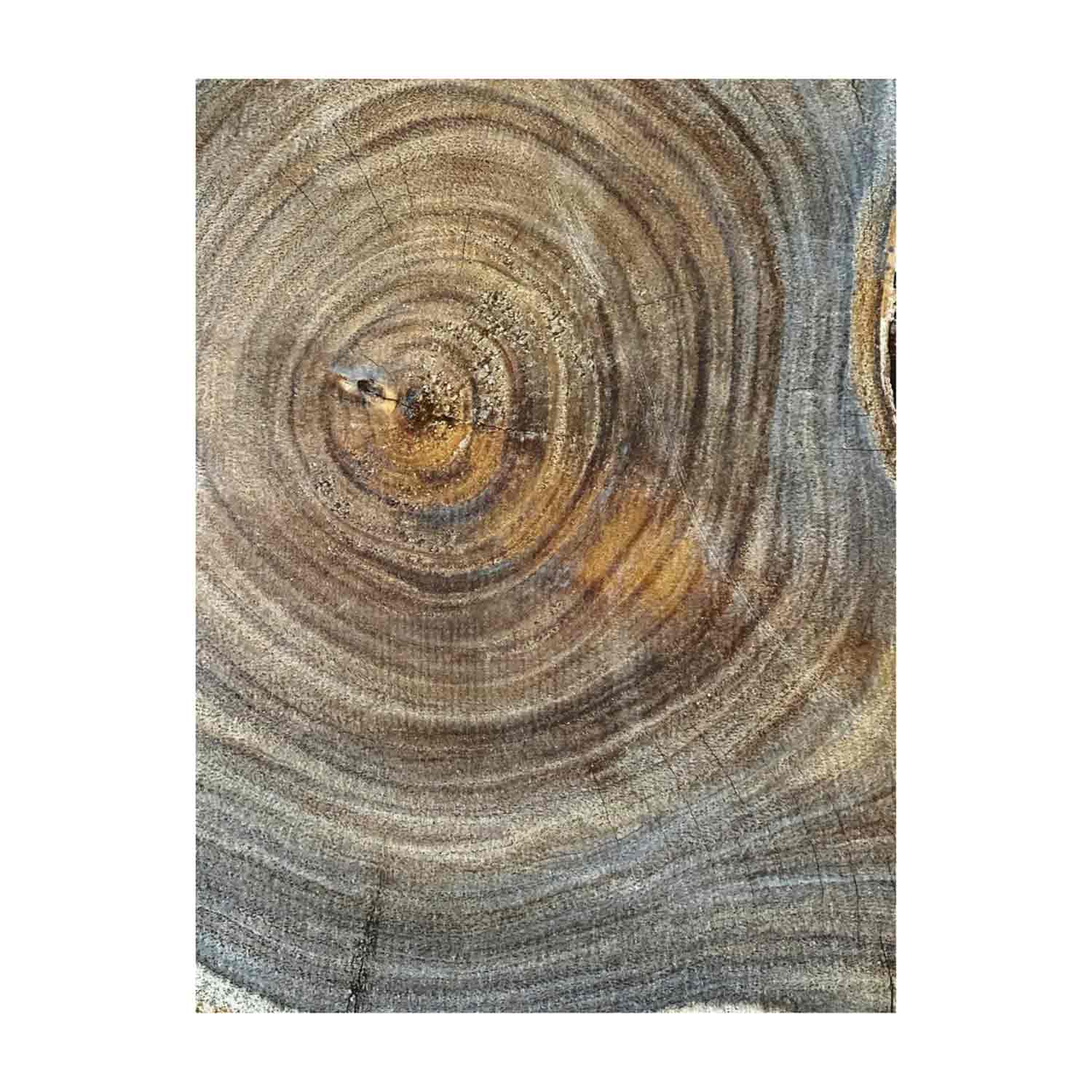 Beautiful Bhilwara Live Edge Slab/Cookies - 26&quot;x 19&quot;x 2&quot; 