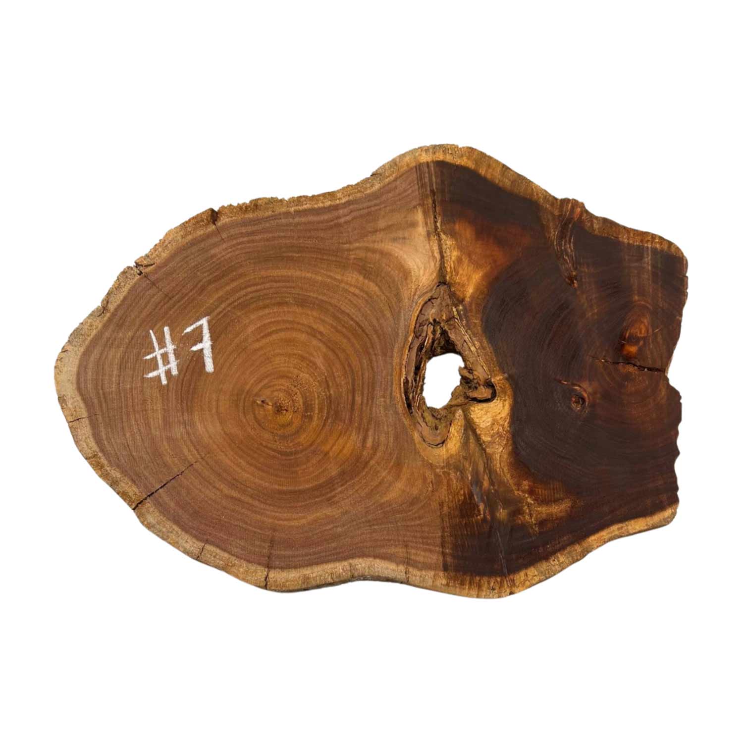 Hermosas y raras losas/galletas de borde vivo de madera negra africana - 24&quot;x24-1/2&quot;x3&quot;, 