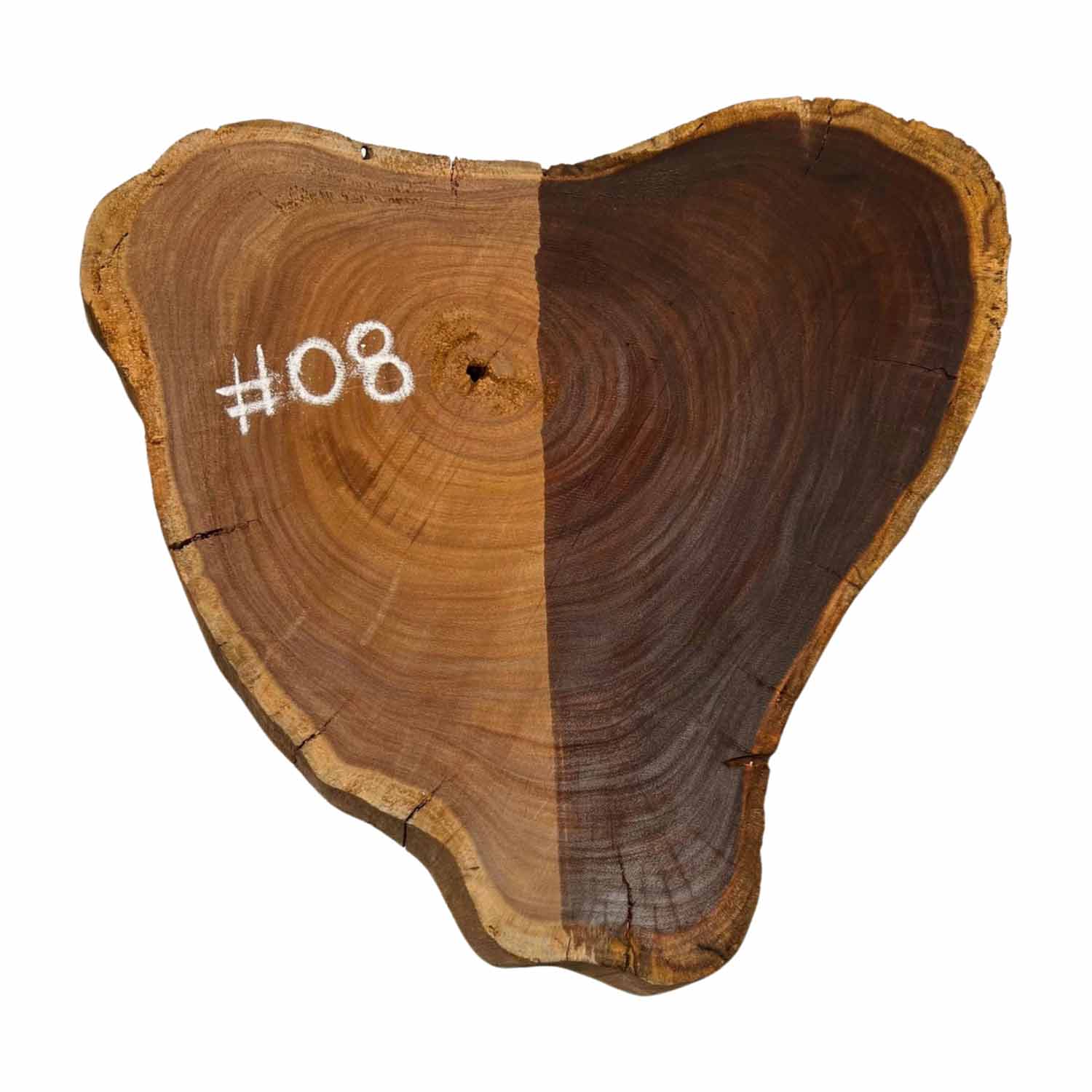 Hermosas y raras losas/galletas de borde vivo de madera negra africana - 24&quot;x24-1/2&quot;x3&quot;, 