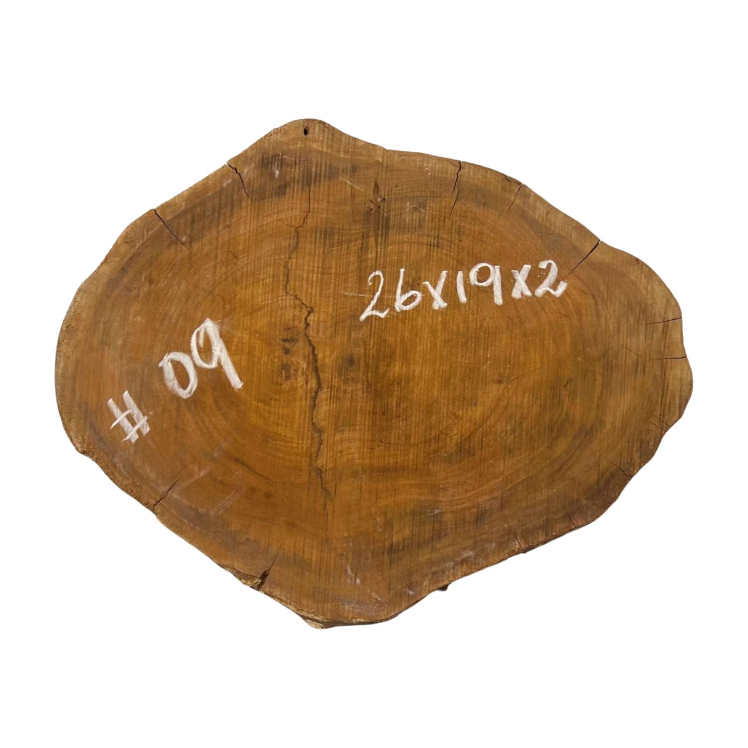 Hermosas y raras losas/galletas de borde vivo de madera negra africana - 24&quot;x24-1/2&quot;x3&quot;, 