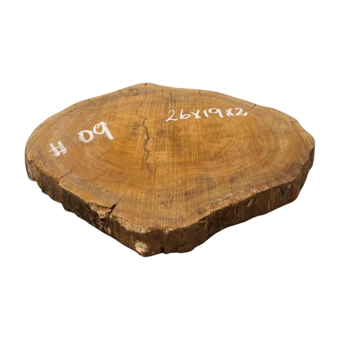 Hermosas y raras losas/galletas de borde vivo de madera negra africana - 24&quot;x24-1/2&quot;x3&quot;, 