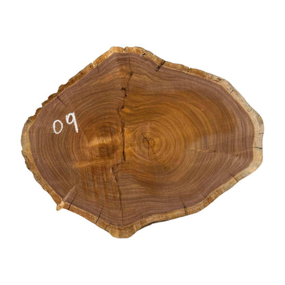 Hermosas y raras losas/galletas de borde vivo de madera negra africana - 24&quot;x24-1/2&quot;x3&quot;, 