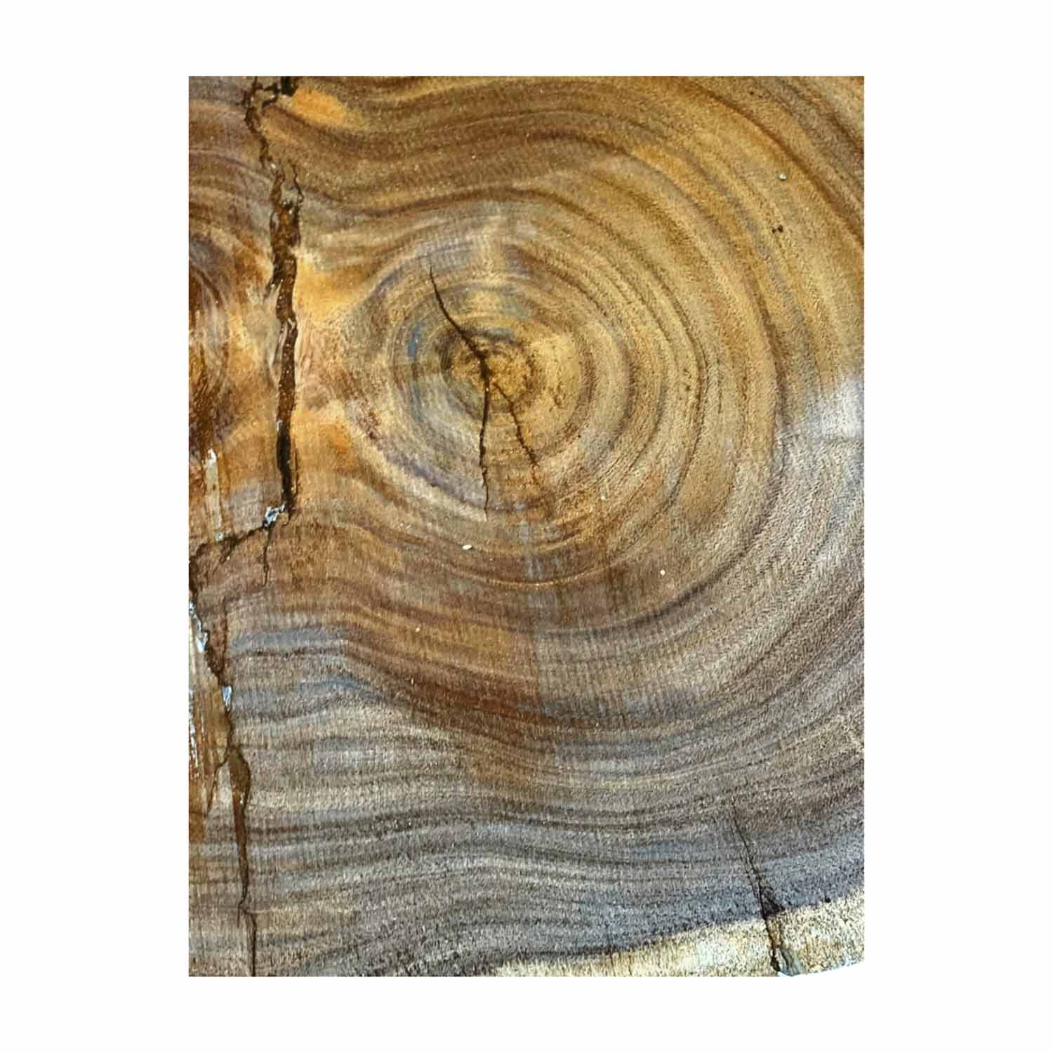 Beautiful Bhilwara Live Edge Slab/Cookies - 26&quot;x 19&quot;x 2&quot; 