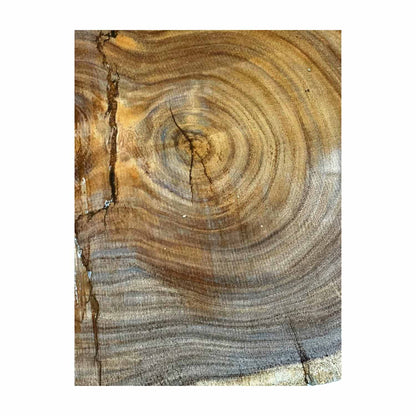 Hermosas y raras losas/galletas de borde vivo de madera negra africana - 24&quot;x24-1/2&quot;x3&quot;, 